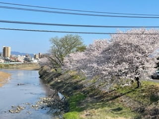 受付方法が変更となりました