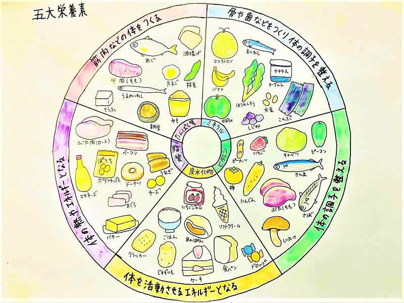 栄養素 五大